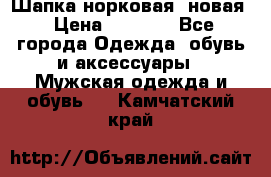 Шапка норковая, новая › Цена ­ 5 000 - Все города Одежда, обувь и аксессуары » Мужская одежда и обувь   . Камчатский край